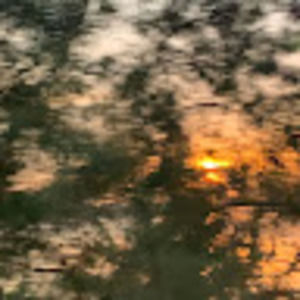 Meet your Posher, Ella ෆ